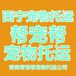 西宁帮宠帮宠物托运总公司西宁宠物托运最好商家