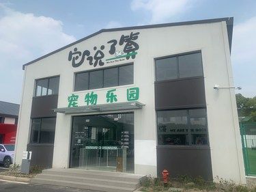 和狗狗一起游玩的午后时光