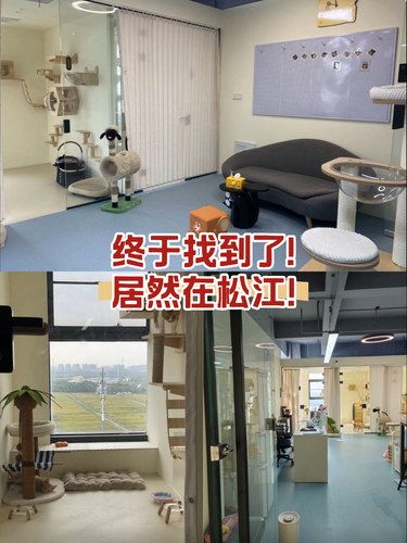终于找到了！居然在松江！