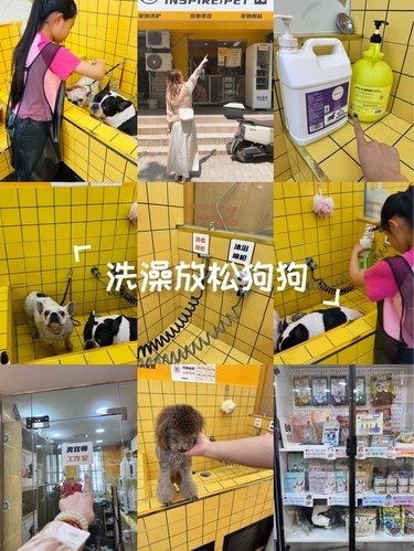 又又又来元气大浴场啦～