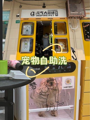 宠物自助洗