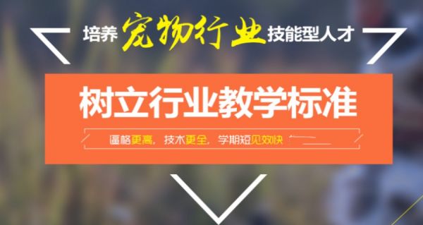 北京宠物美容培训学校排名前十榜单.jpg