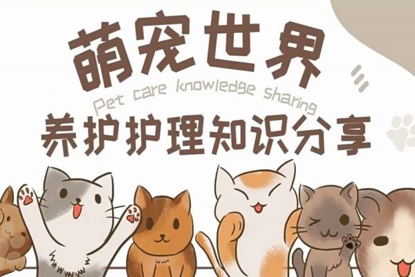 北京宠物美容培训学校排名前十榜单.jpg