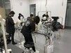 萌小它宠物店/宠物美容服务/宠物店加盟