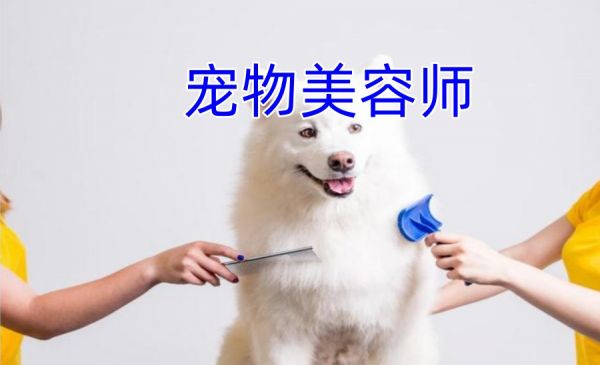 五大北京宠物猫狗美容护理技能学习培训学校排名公布.jpg