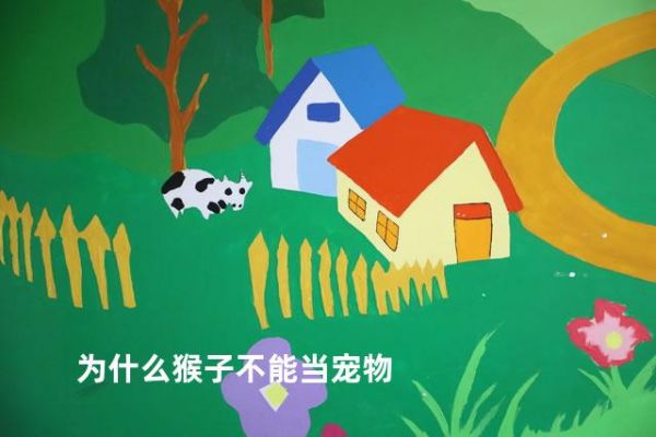 为什么猴子不能当宠物