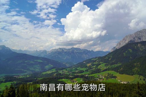 南昌有哪些宠物店