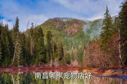 南昌哪家宠物店好