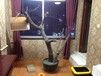 宠物高端寄养双宠房，人居式酒店宠物寄养