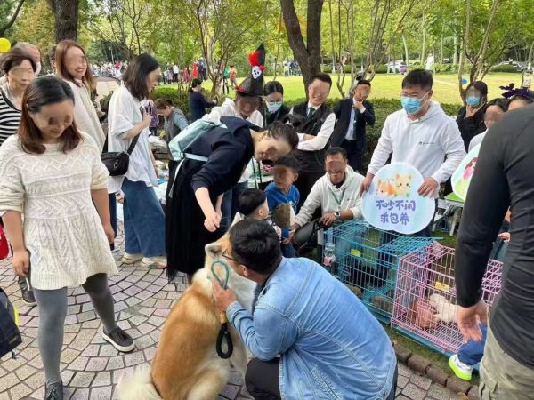 宠物领养救助网苏州市宠物救助领养收养收容站