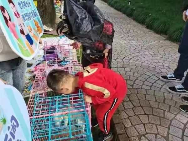 苏州相城望亭流浪狗收容所苏州市宠物救助中心
