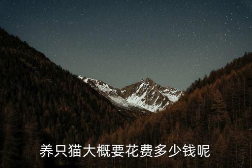 养只猫大概要花费多少钱呢