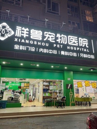 这会是深圳下一家倒闭的宠物医院吗⁉️