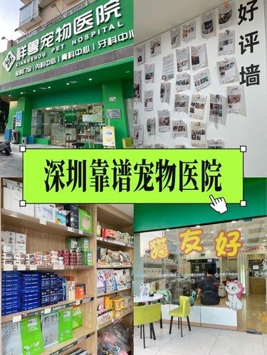 不夸张，深圳宠物界协和‼️整面墙的表扬信