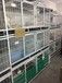 深圳哪里有卖宠物猫价格多少深圳哪里有卖宠物猫