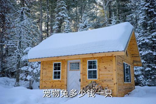 宠物兔多少钱一只