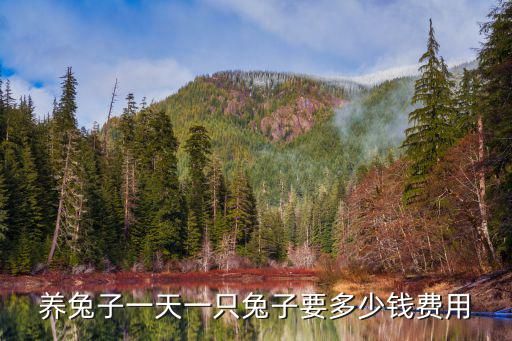 养兔子一天一只兔子要多少钱费用