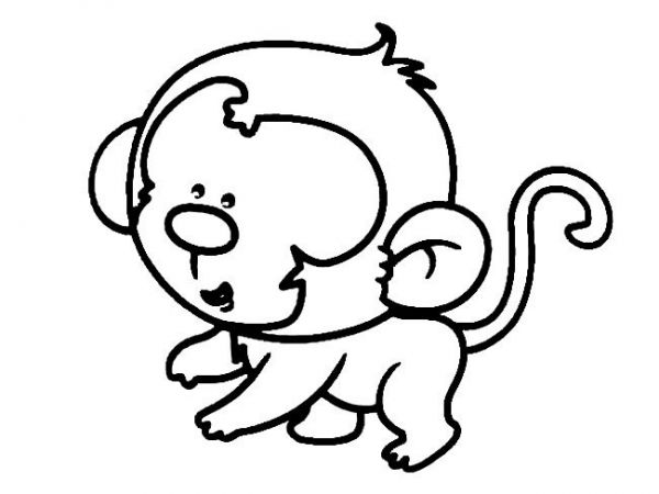 可爱小猴子简笔画动物 可爱小猴子动物简笔画步骤图片大全