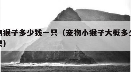 宠物猴子多少钱一只（宠物小猴子大概多少钱一只）