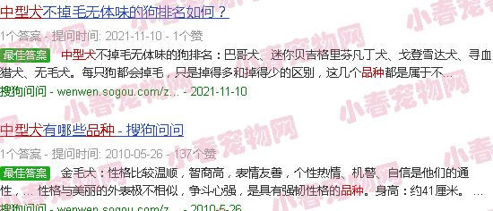 中型犬品种大全图片及名称