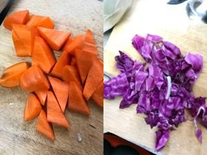 宠物食品大丸子的做法 步骤3