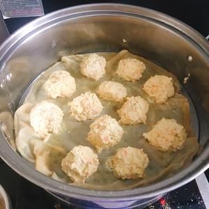宠物食品大丸子的做法 步骤7