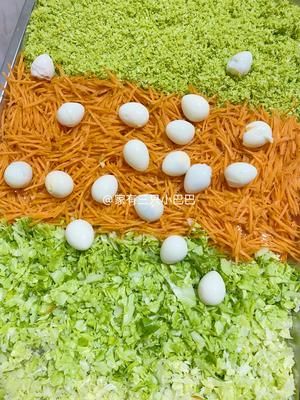 宠物自制手工鸡肉能量丸的做法 步骤1