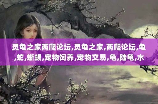 灵龟之家两爬论坛,灵龟之家,两爬论坛,龟,蛇,蜥蜴,宠物饲养,宠物交易,龟,陆龟,水龟,巴西龟,半水龟,海龟,龟粮,龟饲料,鳖,猪鼻龟,蜥蜴,壁虎,灵龟之家论坛_bbs.reptilesworld.com