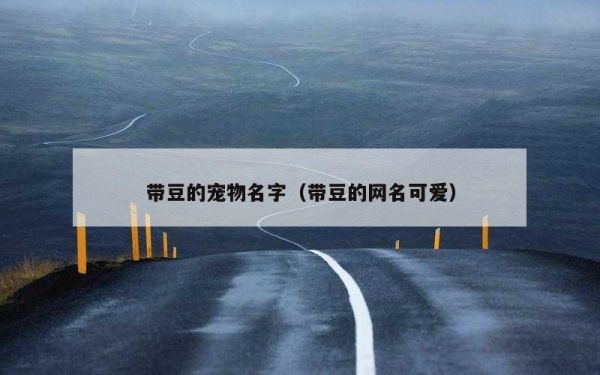 带豆的宠物名字（带豆的网名可爱）
