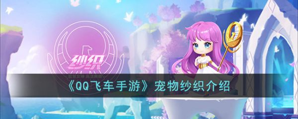 《QQ飞车手游》宠物纱织介绍