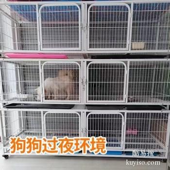 宿松2023宠物托运活体物流猫狗速运空运全国连锁