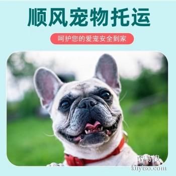 宿松2023宠物托运活体物流猫狗速运空运全国连锁