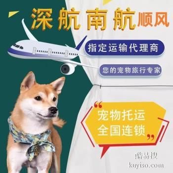 宿松2023宠物托运活体物流猫狗速运空运全国连锁