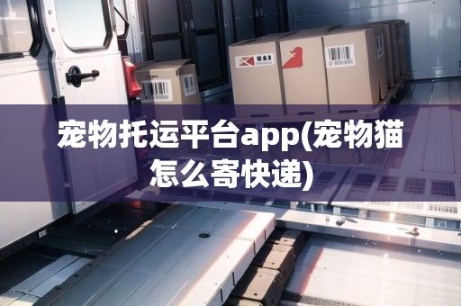 宠物托运平台app(宠物猫怎么寄快递)