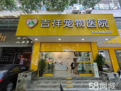 吉祥宠物医院·贵阳拥有10家分院-吉祥宠物医院-宠物治疗-夜间急诊