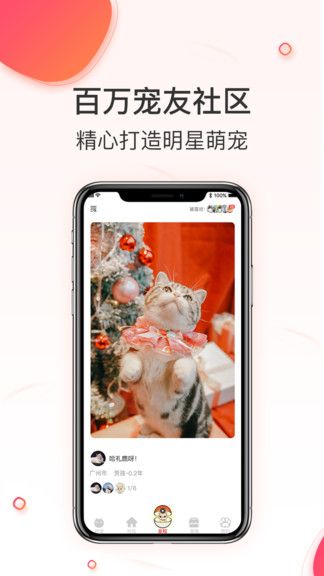 相宠最新版 v1.0.7 安卓版 1