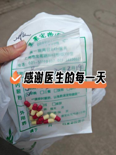 果果医院，值得信赖的宠物医院