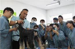 学宠物美容专业好创业吗|宠物美容师培训哪家强?