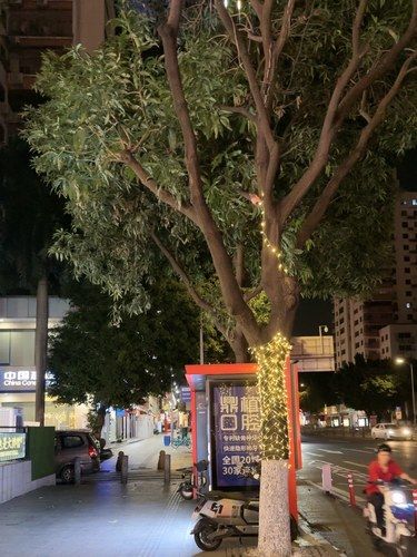 广州春季CityWalk