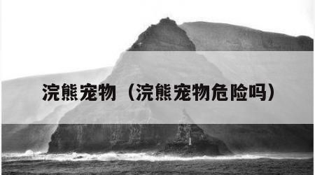 浣熊宠物（浣熊宠物危险吗）