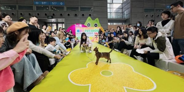 「深圳户外宠物文化周」空降龙华！带毛孩子来玩！