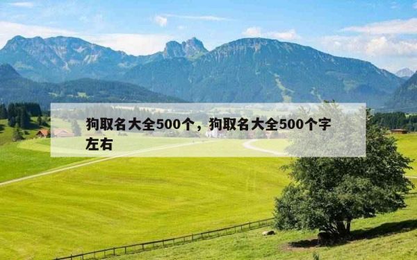 狗取名大全500个，狗取名大全500个字左右