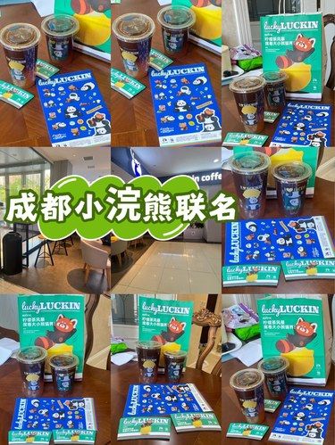 瑞幸联名｜成都小浣熊贴纸