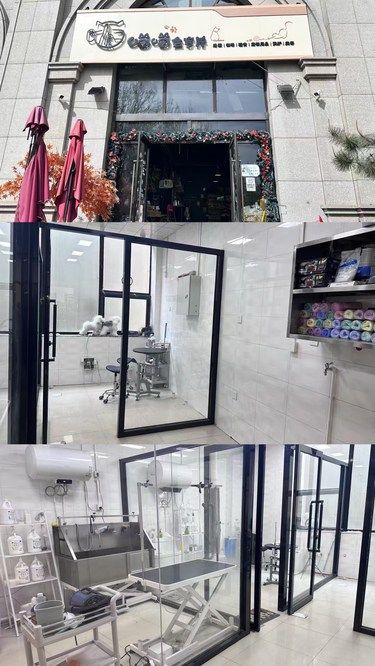 宝藏宠物美容店 毛孩子五星级SPA