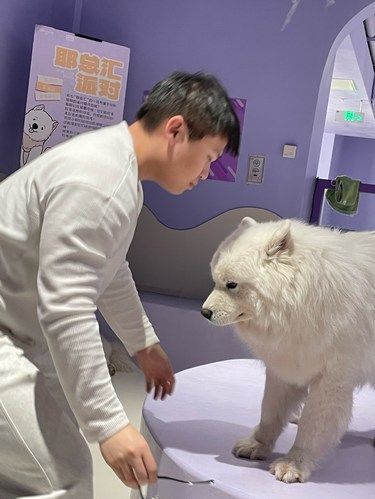 耶耶太可爱啦！