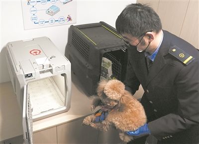 6010444_wangjj_1745305723384_b.jpg