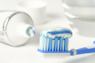 宠物口腔护理新选择—盘点几款值得推荐的宠物漱口水品牌