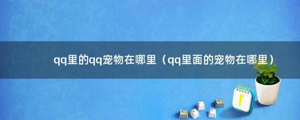 qq里的qq宠物在哪里（qq里面的宠物在哪里）