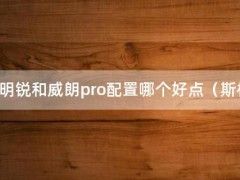 明锐和威朗pro配置哪个好点（斯柯达明锐和威朗pro选哪辆好）