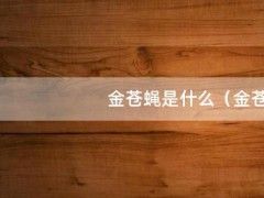 金苍蝇是什么（金苍蝇是什么）